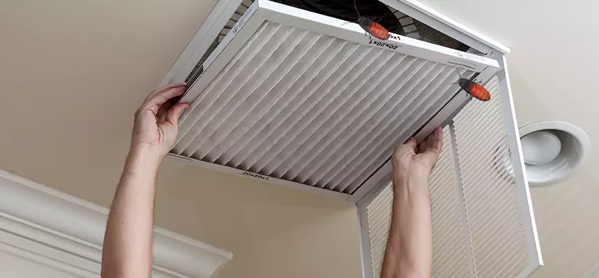Preventive Cockroach-Proofing for Ducts in Easthampton