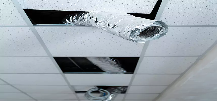 Our Air Duct Pet Hair Removal Services in Easthampton, MA