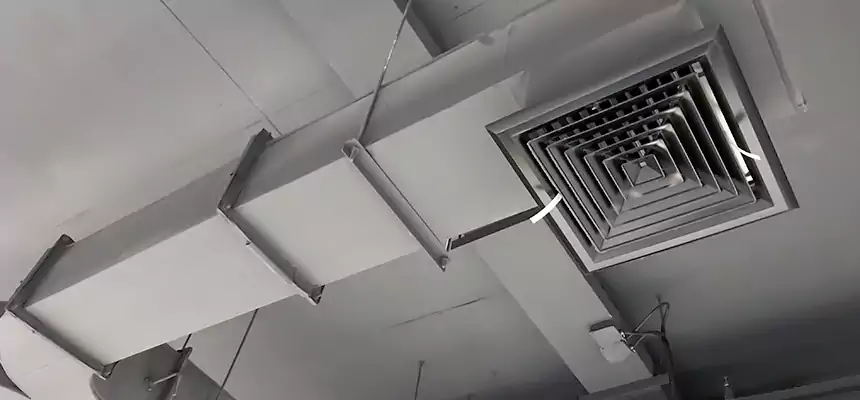 Restorative Allergy Relief Vent Cleaning – Coil, Blower & Housing Detail in Easthampton