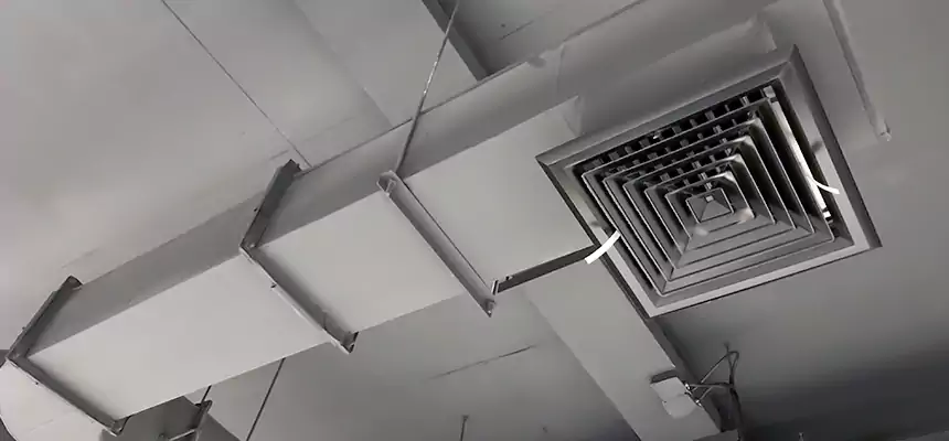 Our Pest Removal From Ducts Services in Easthampton, MA