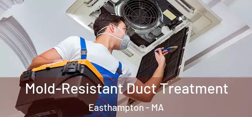  Mold-Resistant Duct Treatment Easthampton - MA