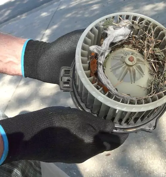 About Air Duct Rat Removal in Easthampton, MA