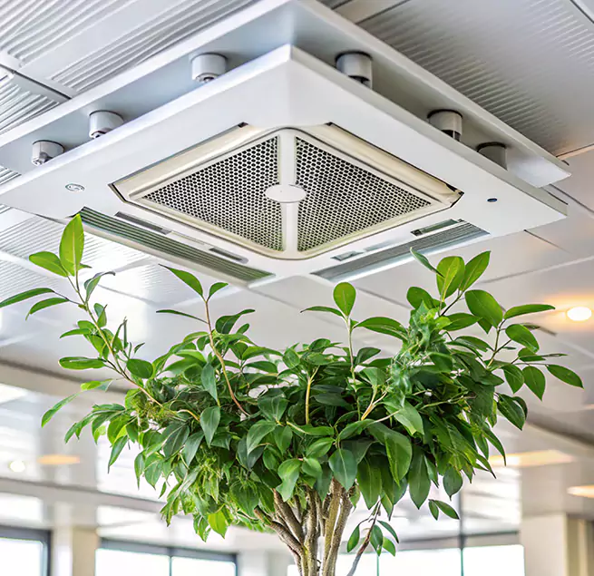 Why Homeowners & Businesses Trust Us in Easthampton, MA?