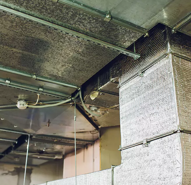 Why Homeowners & Businesses Trust Us in Easthampton, MA?